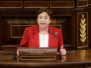 La diputada del BNG, Olaia Fernández, defiende la postura de su partido
