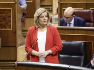 Congreso 11
