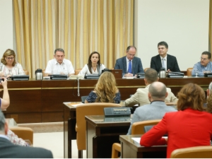 Congreso 17
