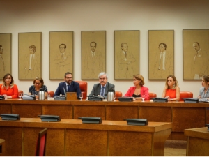 Congreso 19