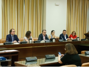 Congreso 11