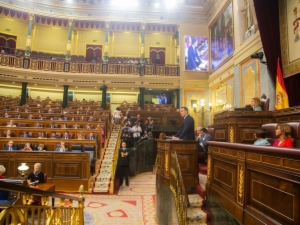 Congreso 13