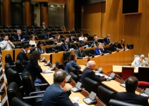 Congreso 14