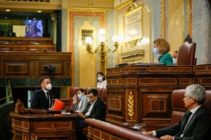 Congreso 11