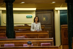 Congreso 15