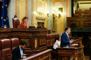 Congreso 3