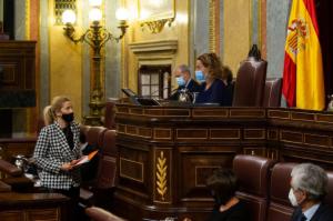 Congreso 19