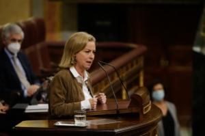 Congreso 5