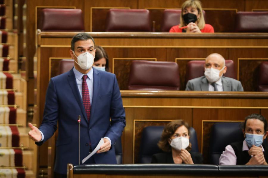 Congreso 11