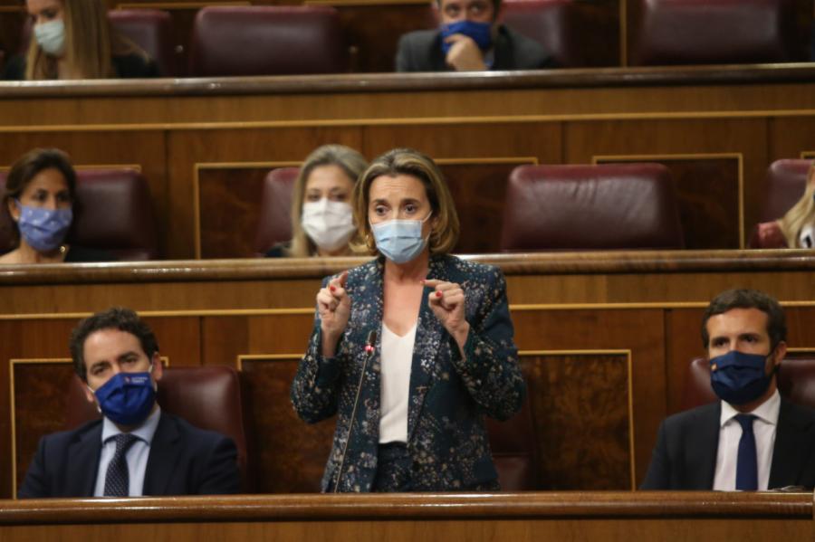 Congreso 16