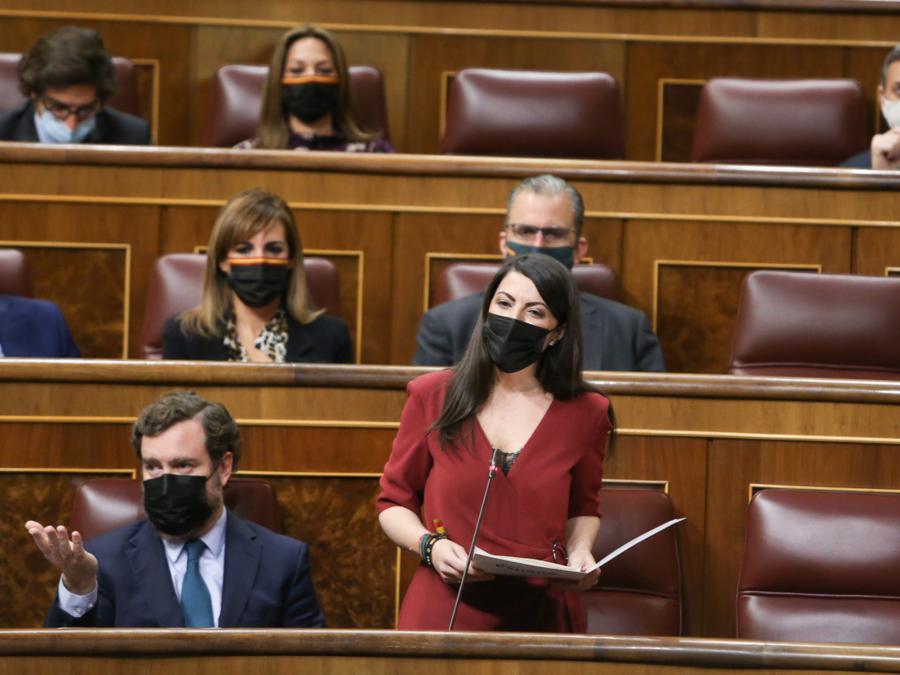 Congreso 11