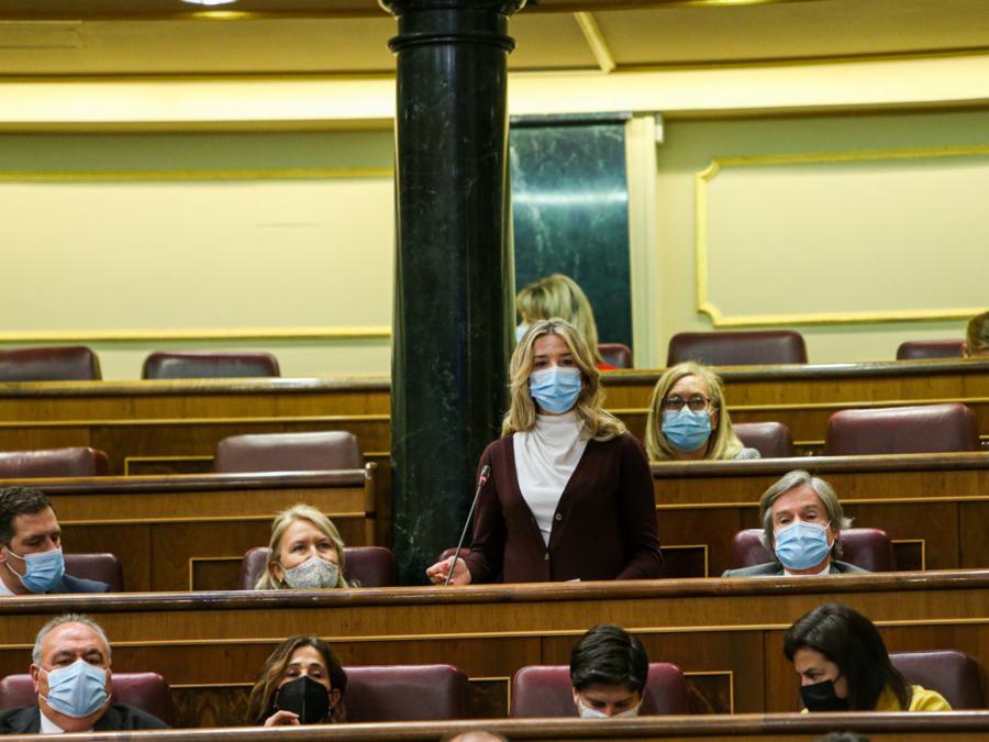 Congreso 6