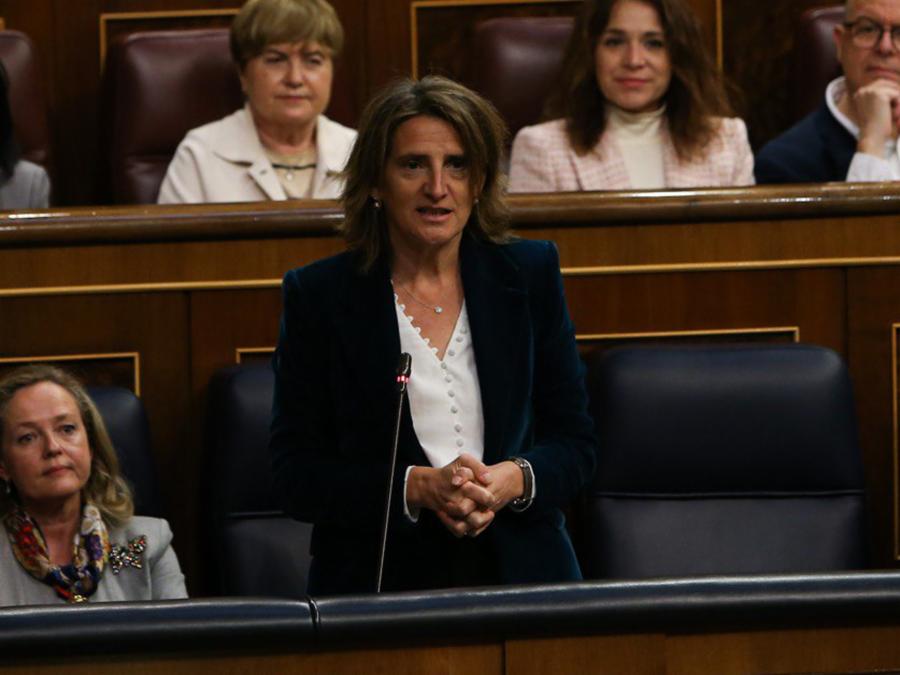 Congreso 8