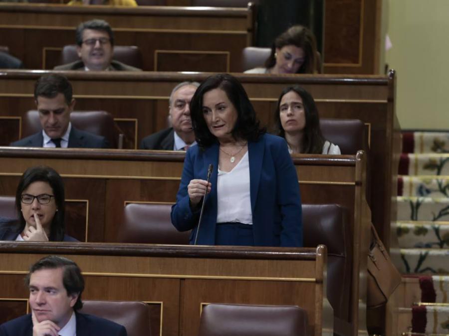 Congreso 19
