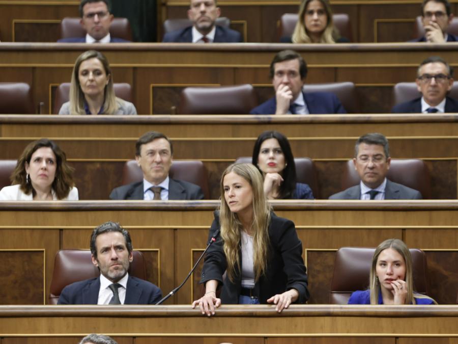 Congreso 14