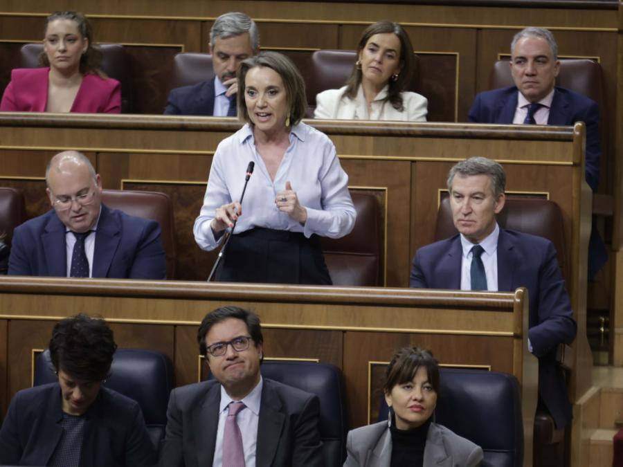 Congreso 6