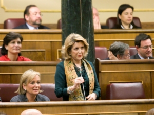 Congreso 8