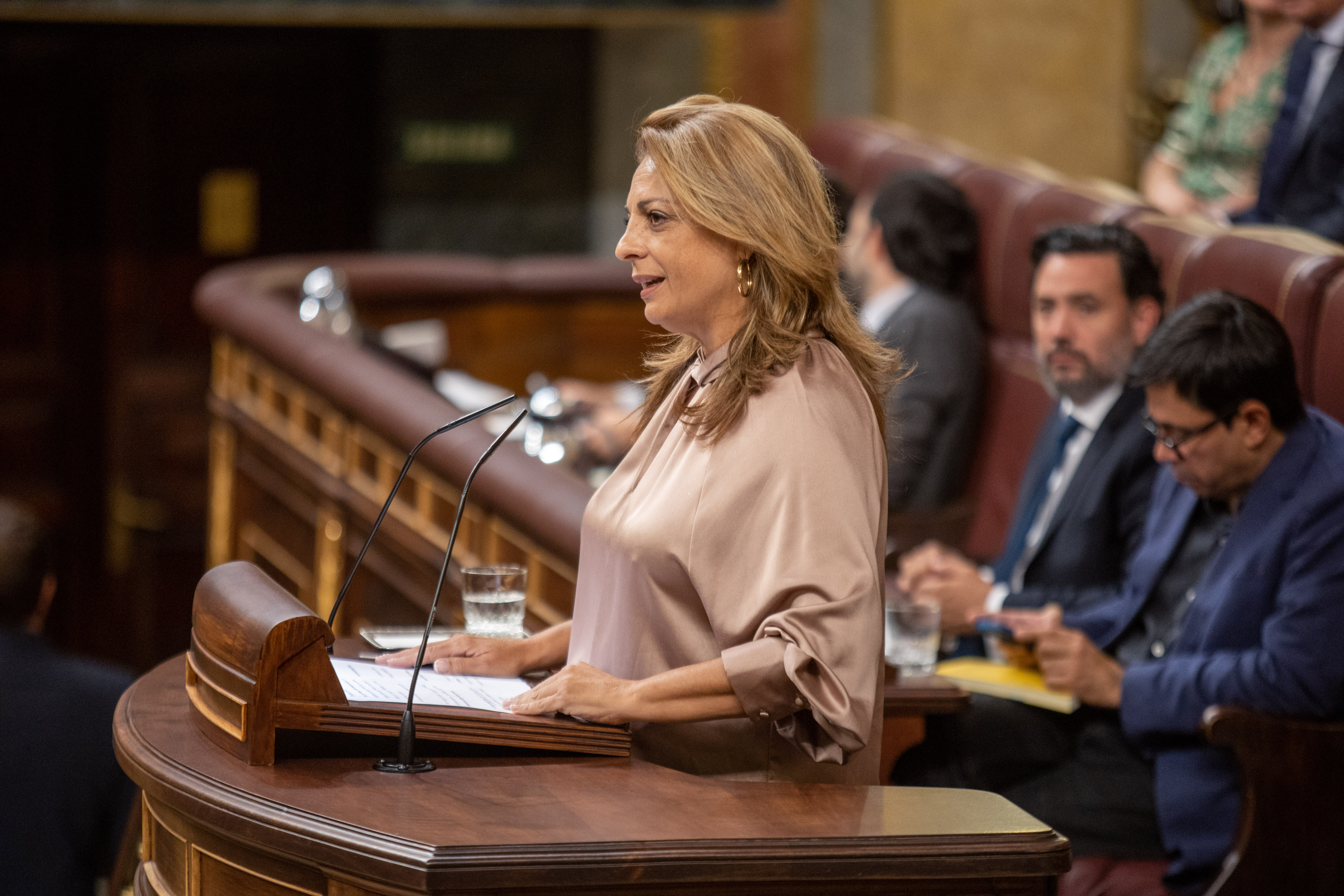 La diputada de Coalición Canaria, integrada en el Grupo Mixto, Cristina Valido, toma la palabra en el hemiciclo.