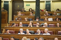 Grupos de EH Bildu y Podemos en el hemiciclo.