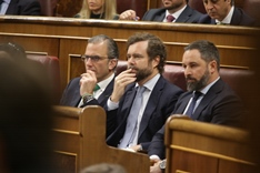 Parlamentarios del grupo VOX, Santiago Abascal, Iván Espinosa y Javier Ortega.