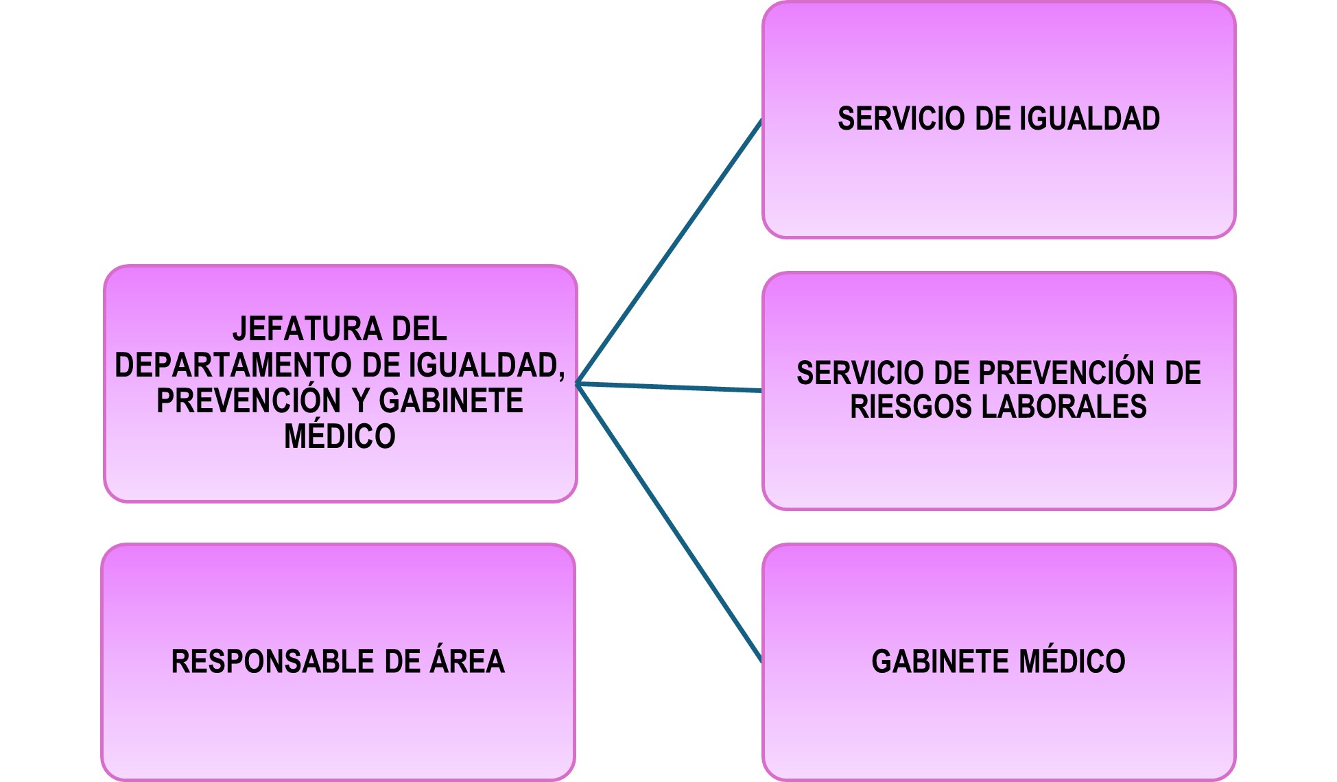 Estructura del Departamento de Igualdad, Prevención y Salud Laboral