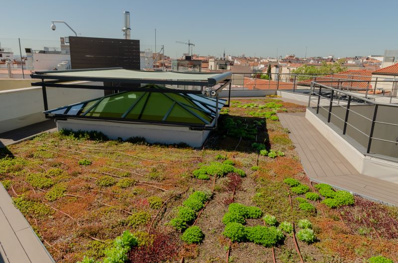 imagen de la azotea ajardinada del edificio de Plaza de las Cortes, 9