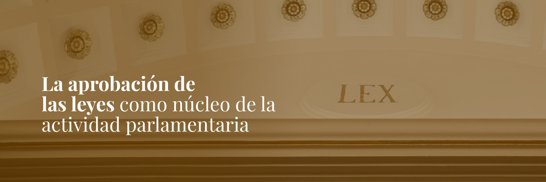 La función legislativa como núcleo de la actividad parlamentaria.
