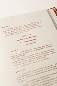 Detalle de la Constitución Española, 1978. <br/>Federico Reparaz