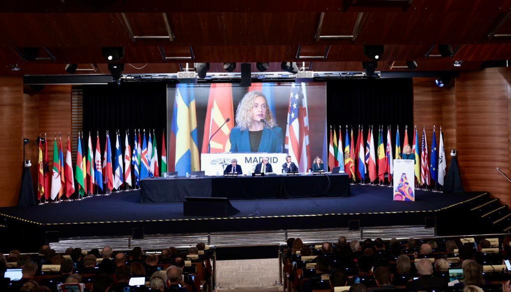 La presidenta del Congreso de los Diputados, Meritxell Batet, interviene en la sesión plenaria de la Asamblea Parlamentaria de la OTAN, en Madrid